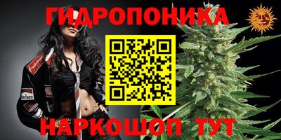 спиды Будённовск