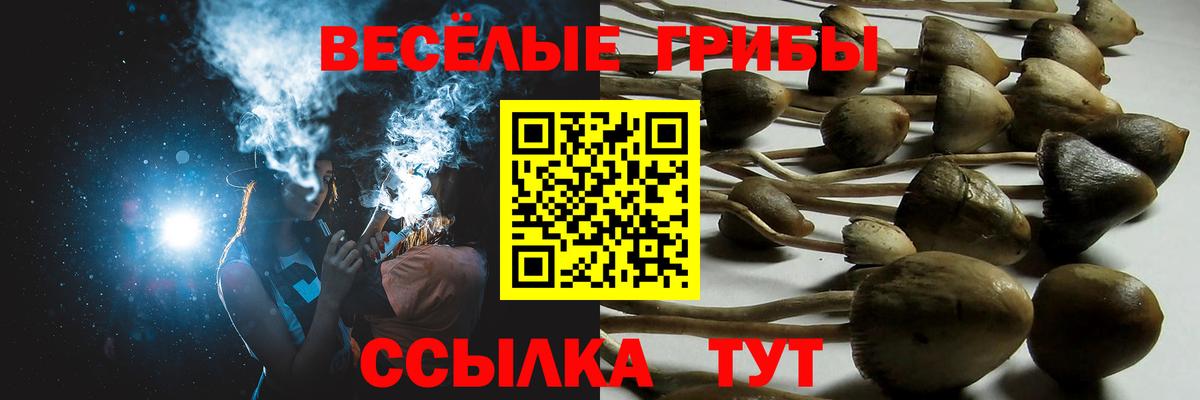 Куйбышев  Галлюциногенные грибы GOLDEN TEACHER  Вход с VPN 
